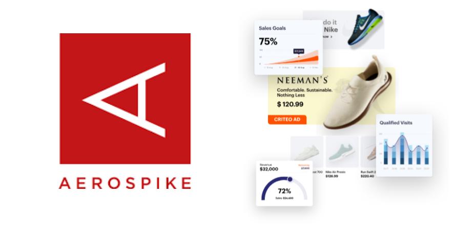 2022-11-29-aerospike-real-time-database-for-the-online-ads-ecosystem